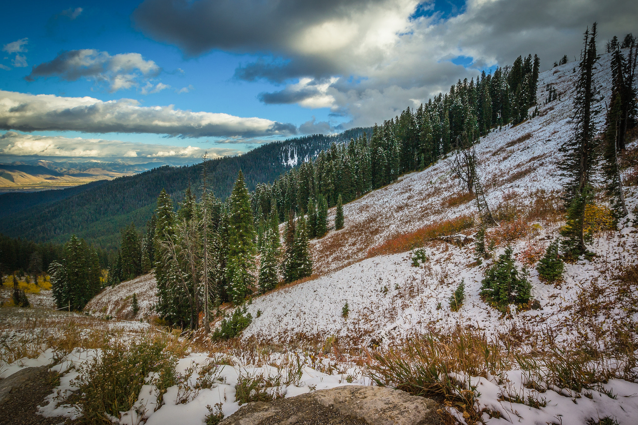 Nikon D3100 + Sigma 10-20mm F3.5 EX DC HSM sample photo. Jackson photography