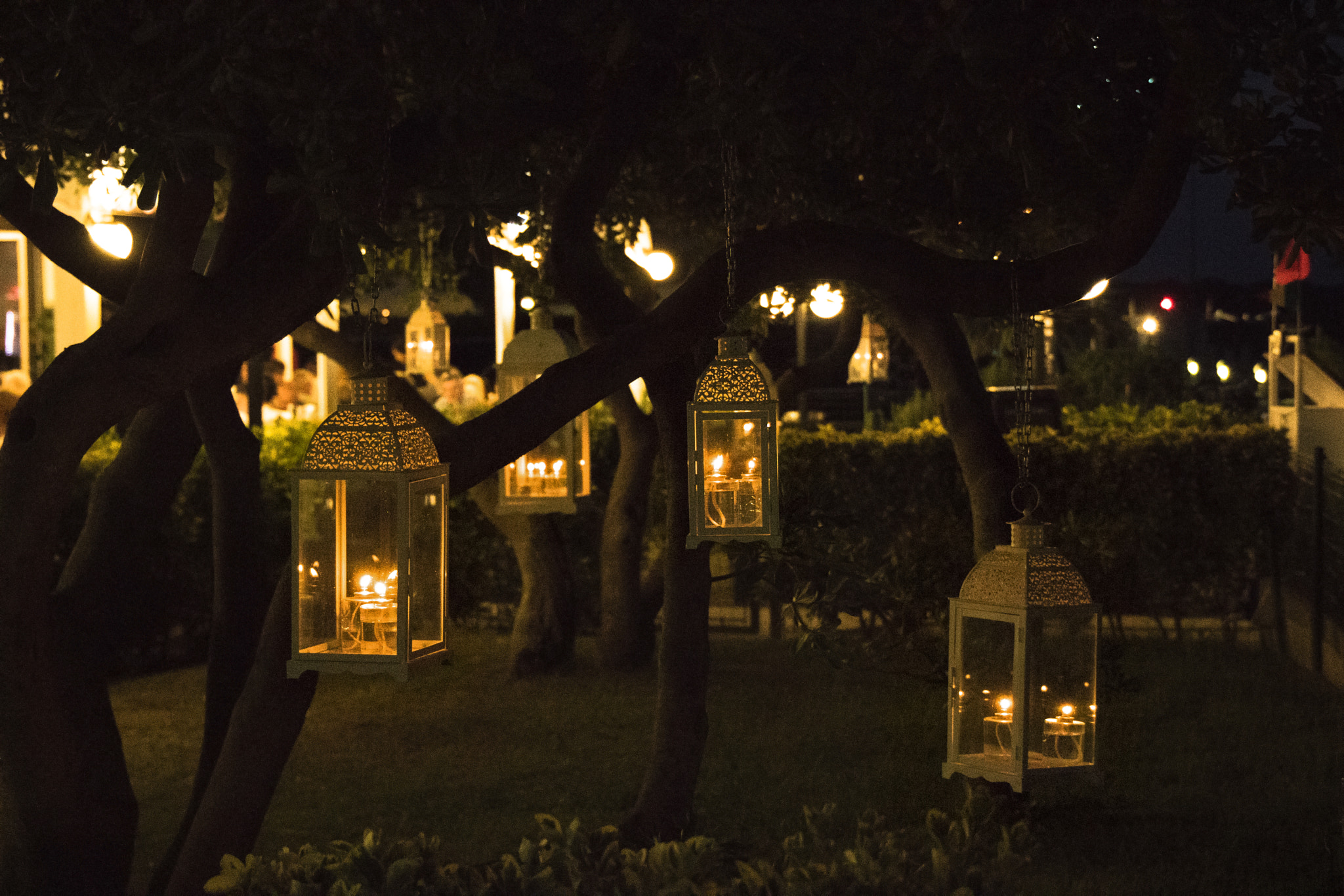 Canon EOS 760D (EOS Rebel T6s / EOS 8000D) sample photo. Night detail photography