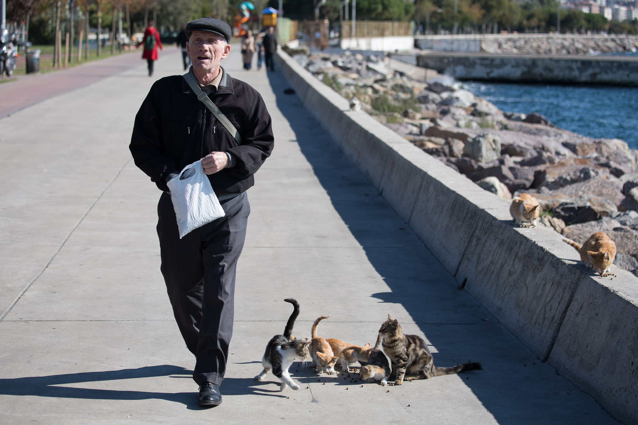 Canon EF 70-200mm F4L IS USM sample photo. Oldman & cats photography
