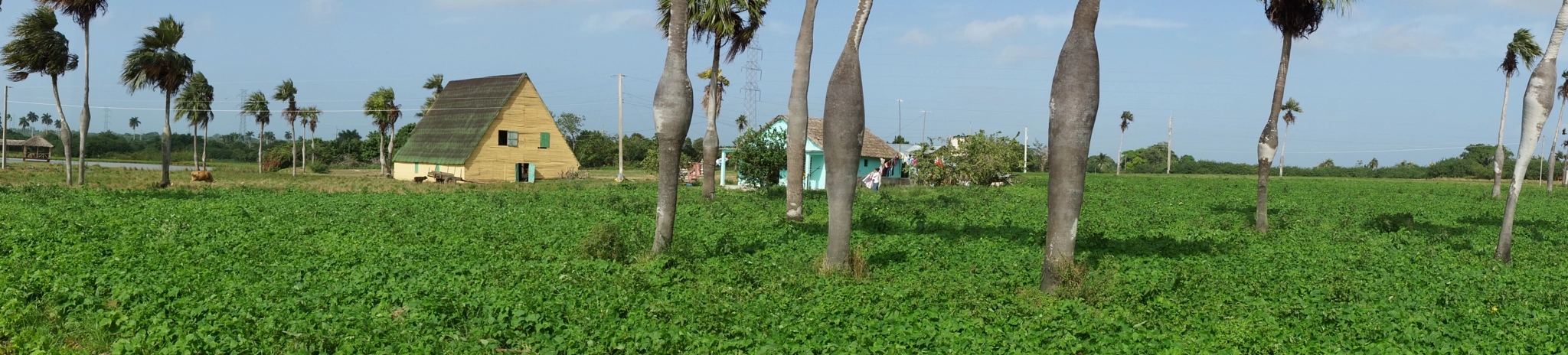 Sony DT 18-135mm F3.5-5.6 SAM sample photo. Cuba photography
