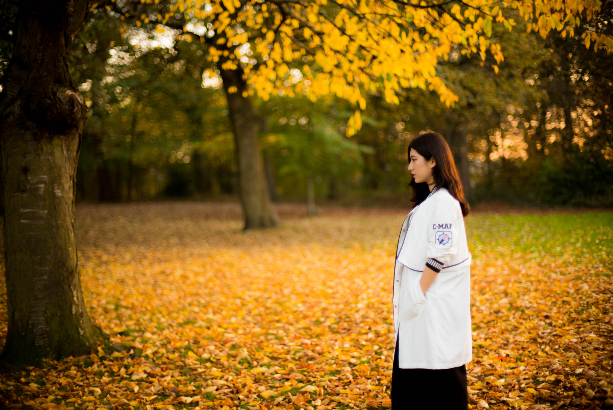 Leica APO-Summicron-M 90mm F2 ASPH sample photo. Autumn feeling photography