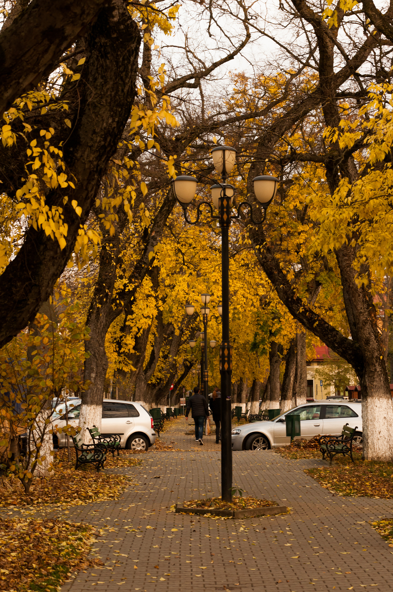 Nikon D90 sample photo. Autumn photography