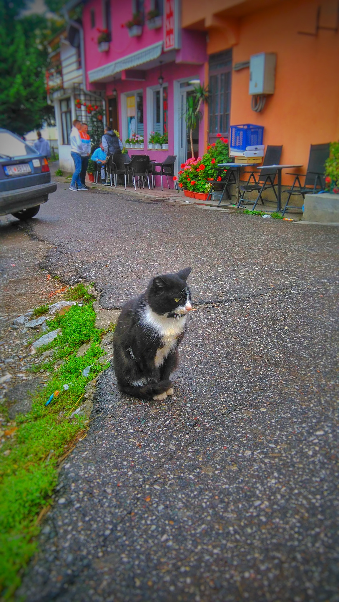HUAWEI G620S-L01 sample photo