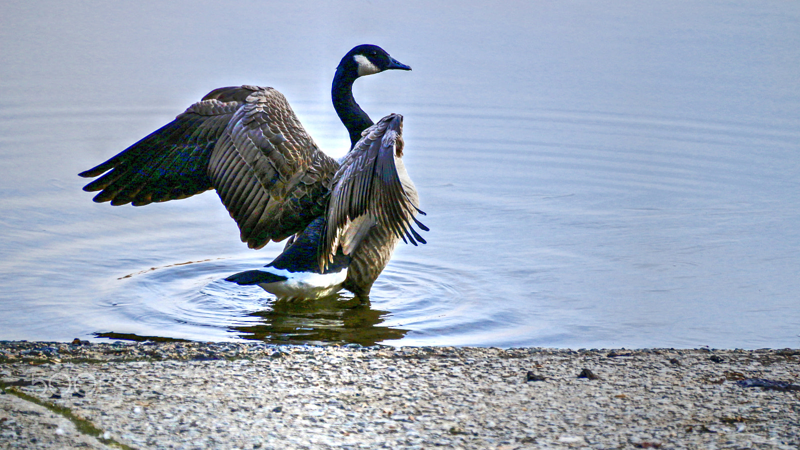 Sigma 18-250mm F3.5-6.3 DC OS HSM sample photo. Look again photography