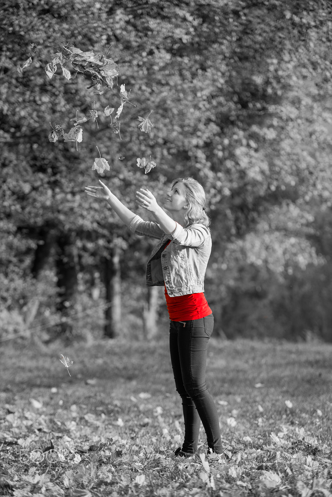 Nikon D800 sample photo. Autumn contrast photography