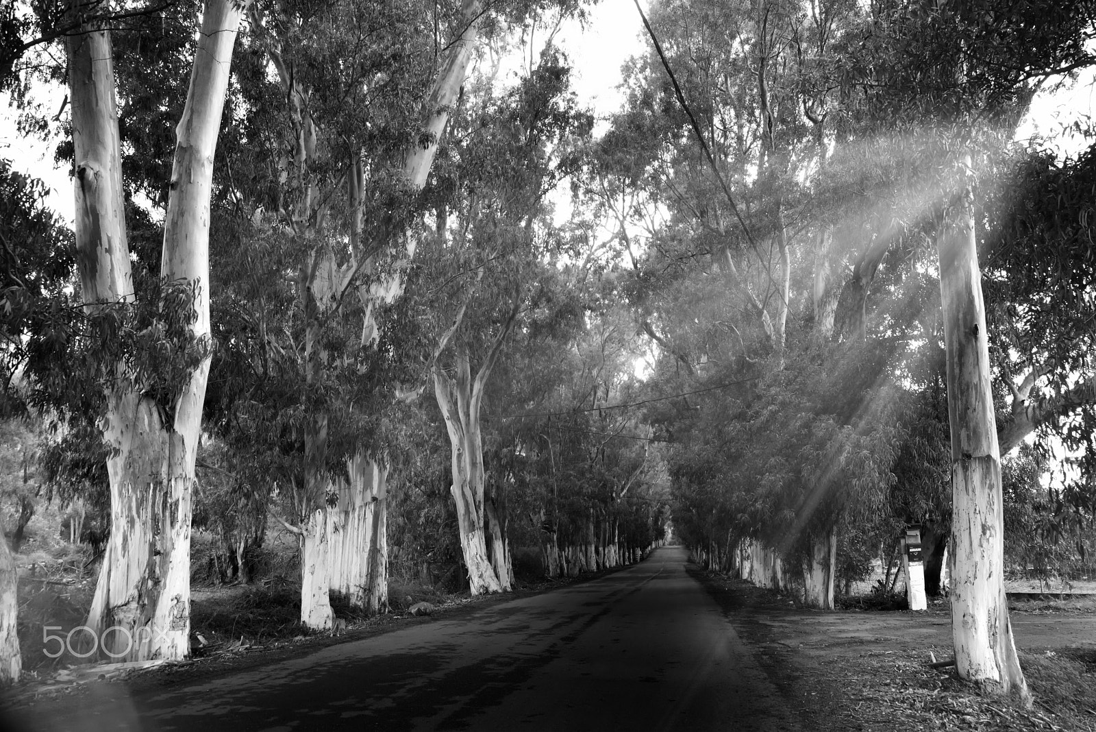 AF Zoom-Nikkor 28-105mm f/3.5-4.5D IF sample photo. An endless road ahead photography