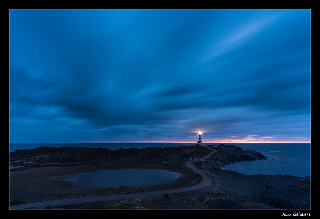 Nikon D800 + Nikon AF Nikkor 14mm F2.8D ED sample photo. 2016-10-22_07.24.15.jpg photography