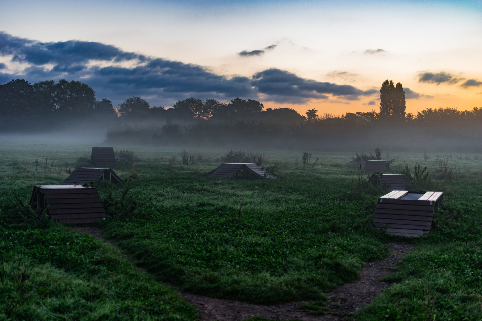 Pentax K-3 II sample photo. Dawn at the park photography