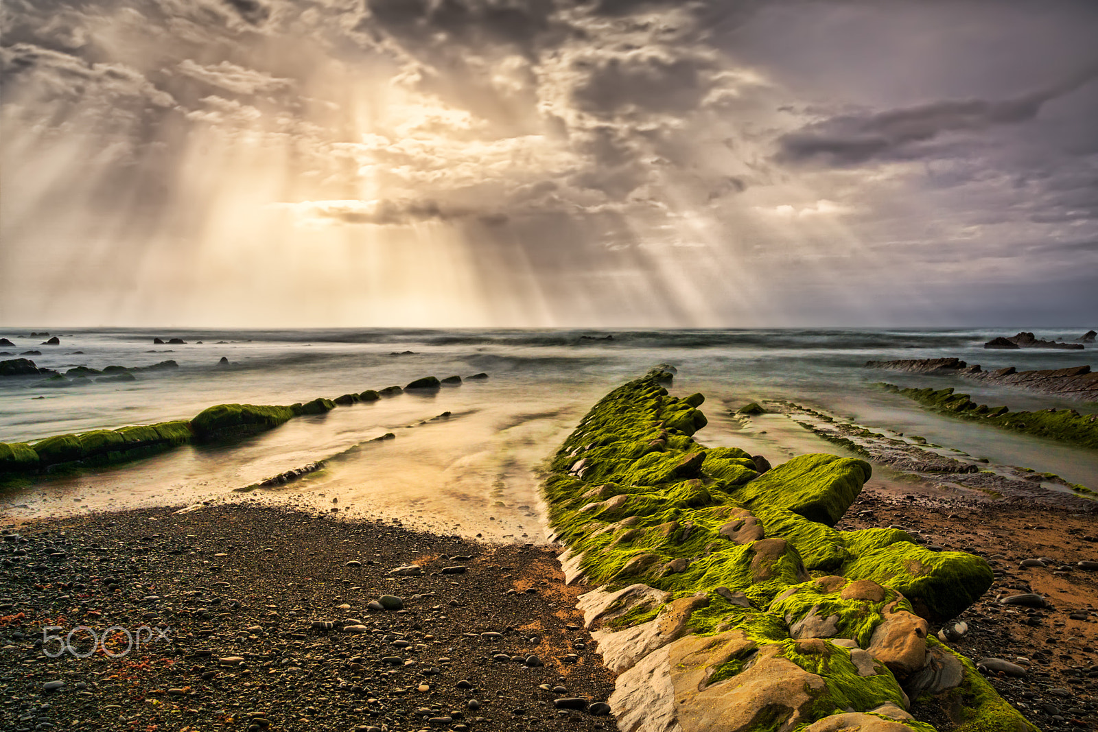 Sony ILCA-77M2 sample photo. Barrika lights photography