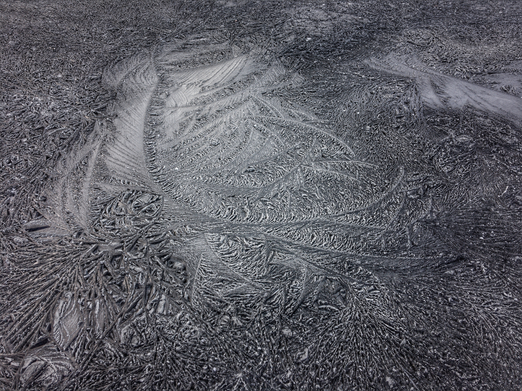 Apple iPhone + iPhone 6s back camera 4.15mm f/2.2 sample photo. Icy time... photography