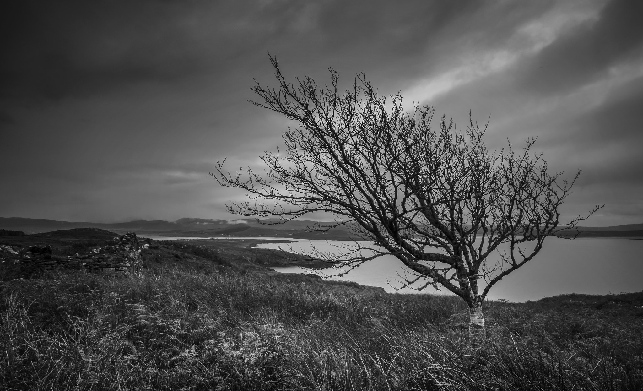 Sigma 10-20mm F4-5.6 EX DC HSM sample photo. Weather beaten photography