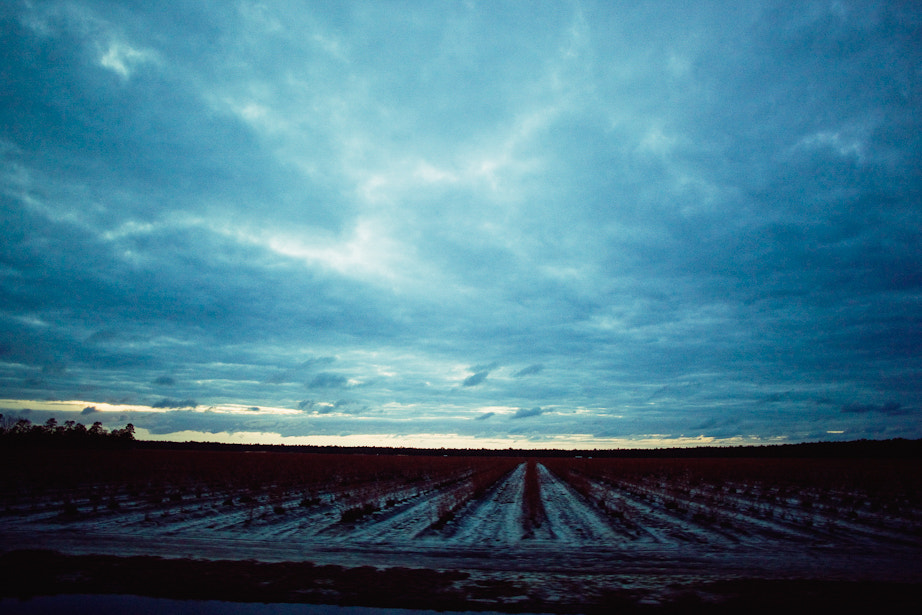 Canon EF 24mm F2.8 sample photo. - photography