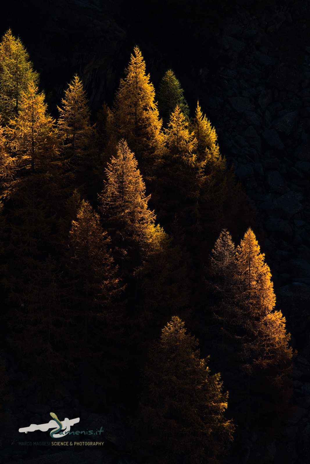Nikon D810 sample photo. Autumn on the alps photography