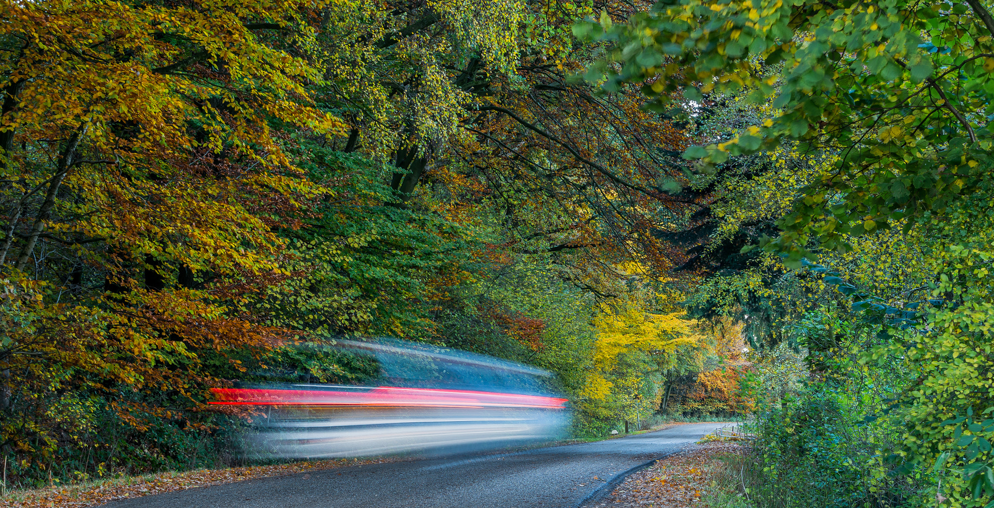 Nikon D800 sample photo. Into the future photography