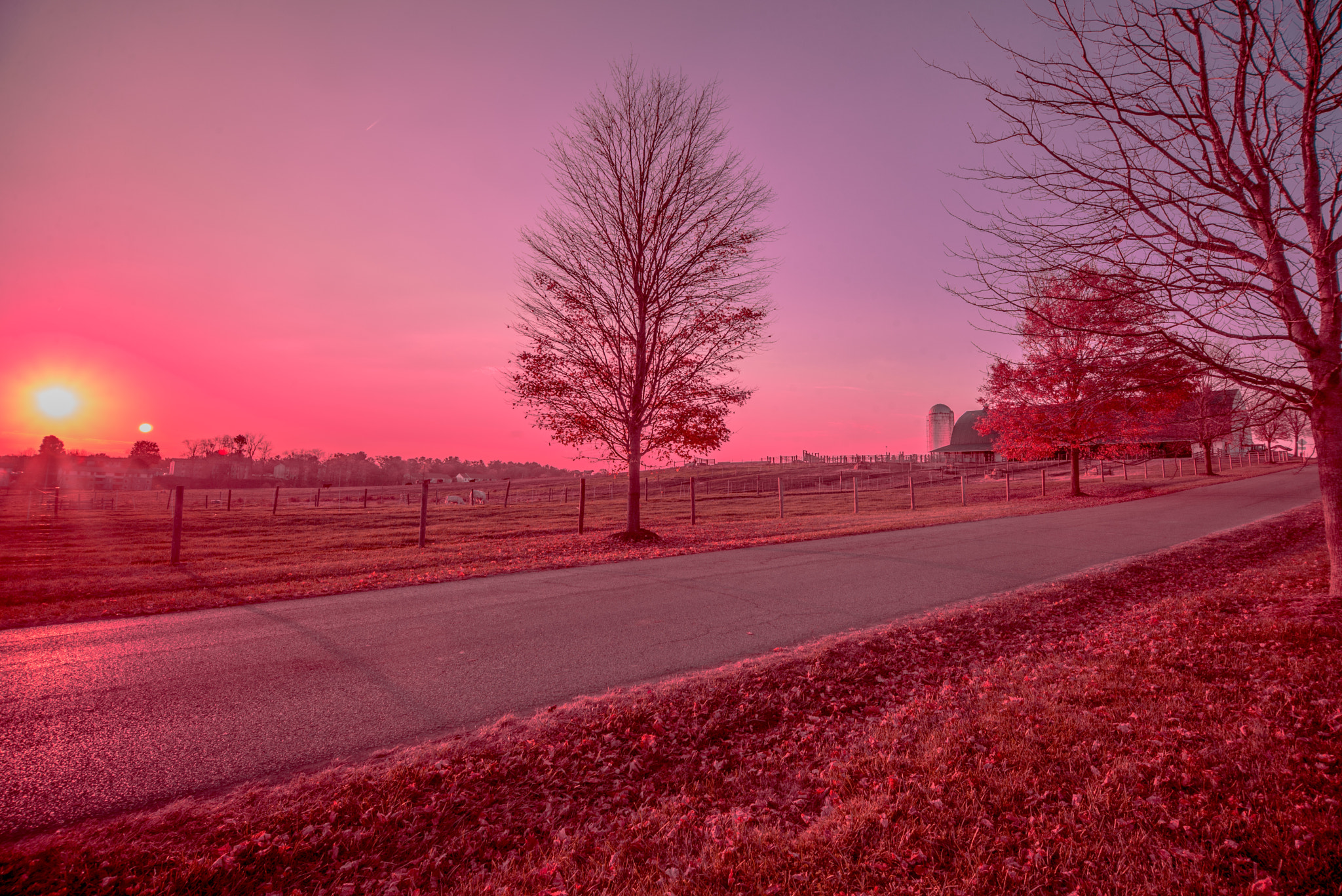 Nikon D600 sample photo. Sunset at the farm at va tech photography