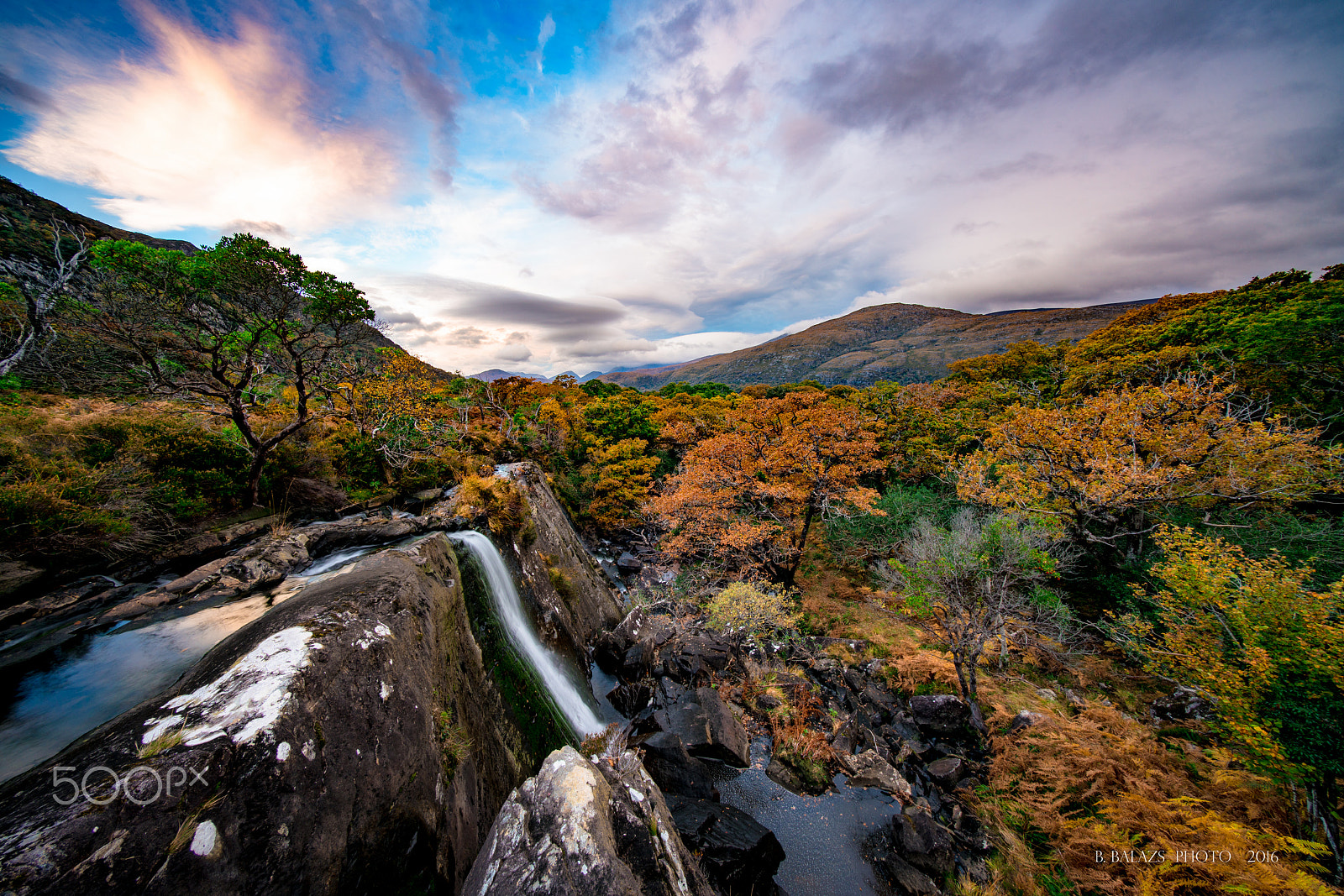 Sony a7R II + Voigtlander HELIAR-HYPER WIDE 10mm F5.6 sample photo. Tower wood, ireland photography