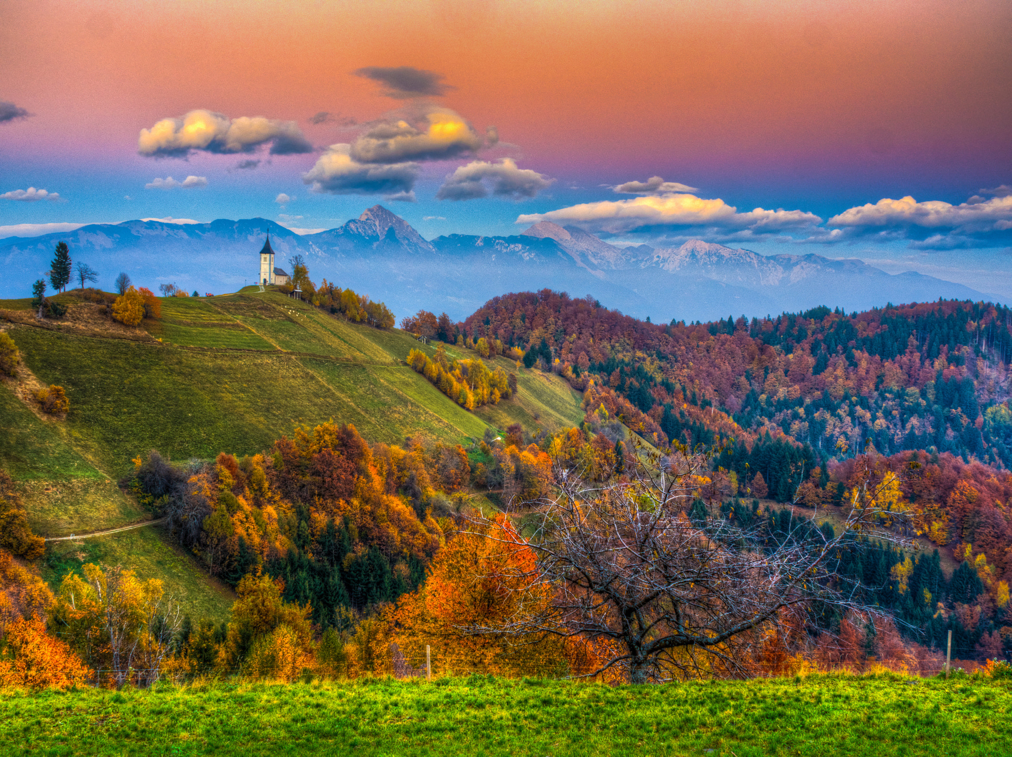 Olympus OM-D E-M10 sample photo. Autumn colors in jamnik photography
