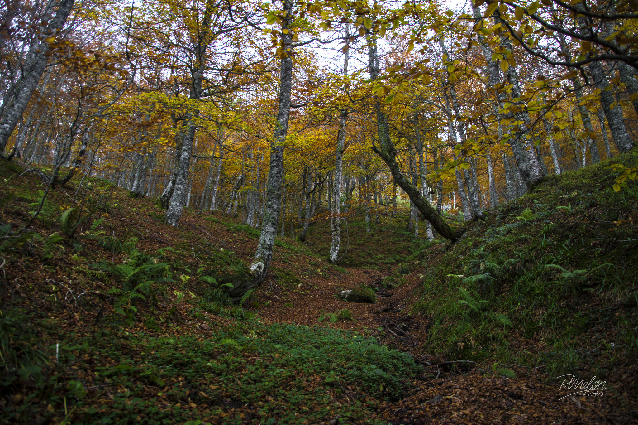 Sony SLT-A58 + Tamron 16-300mm F3.5-6.3 Di II VC PZD Macro sample photo. Otoño en el puerto ventana - asturias photography