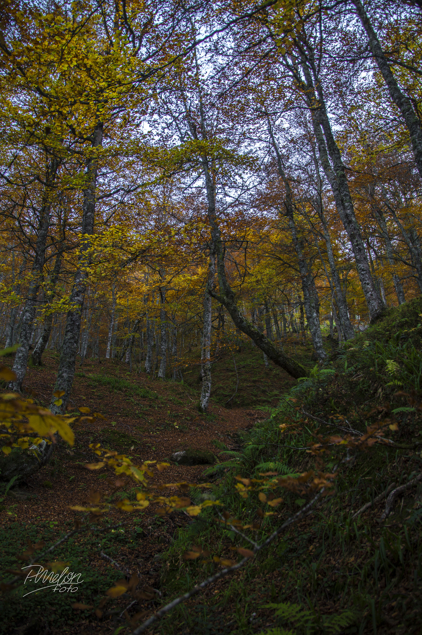 Sony SLT-A58 + Tamron 16-300mm F3.5-6.3 Di II VC PZD Macro sample photo. Otoño en el puerto ventana - asturias photography