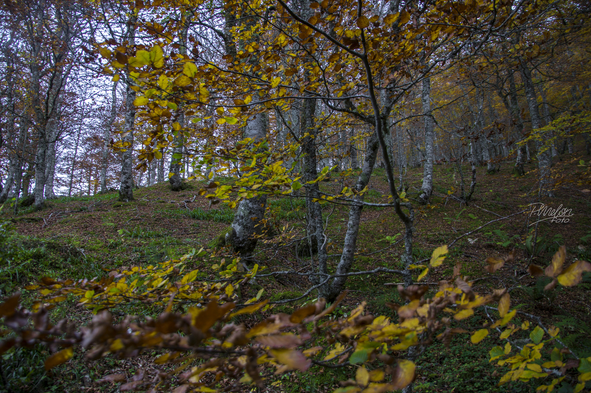 Sony SLT-A58 + Tamron 16-300mm F3.5-6.3 Di II VC PZD Macro sample photo. Otoño en el puerto ventana - asturias photography