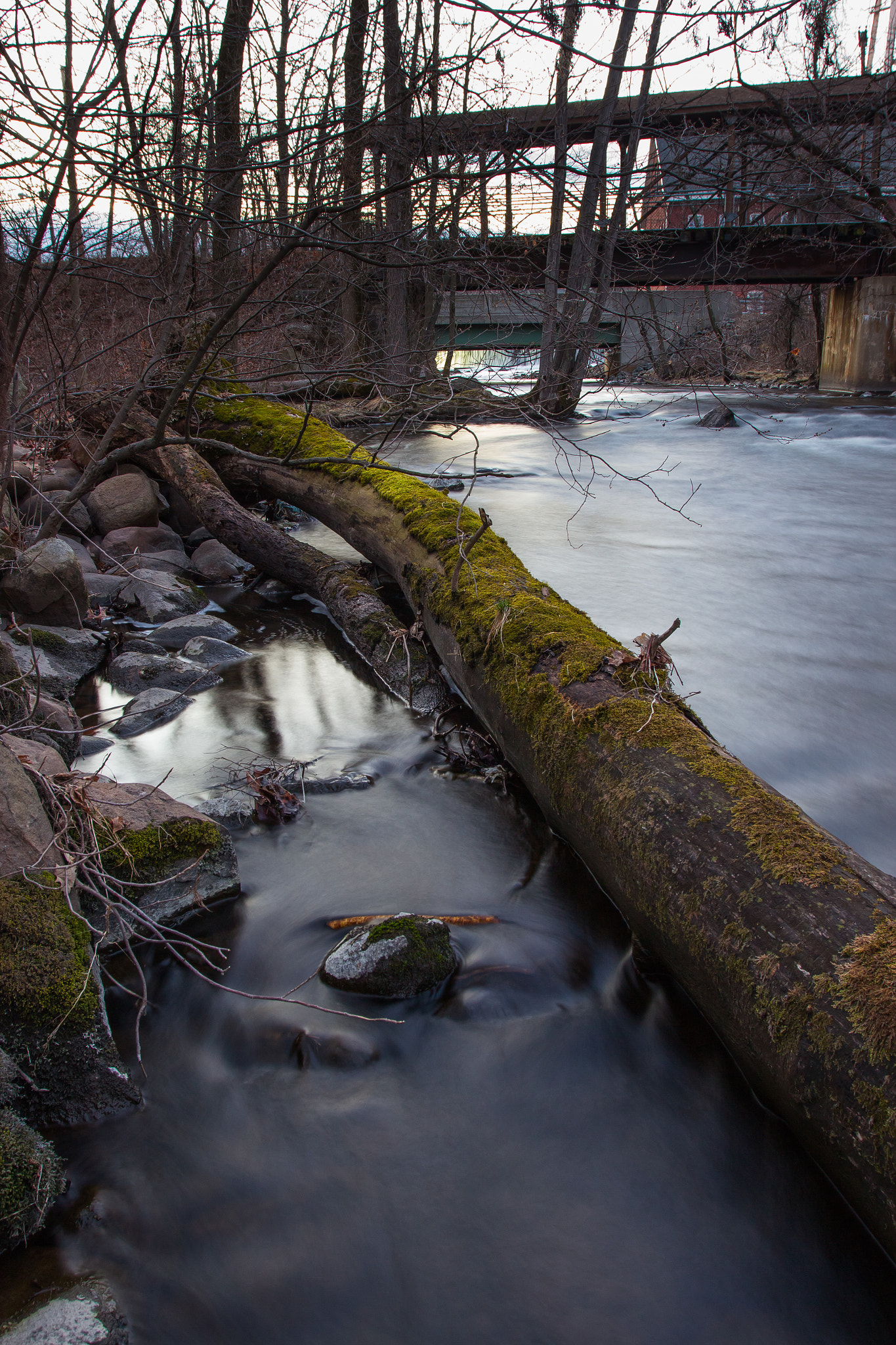 Canon EOS 600D (Rebel EOS T3i / EOS Kiss X5) + Canon EF 17-40mm F4L USM sample photo. Winter landscape photography