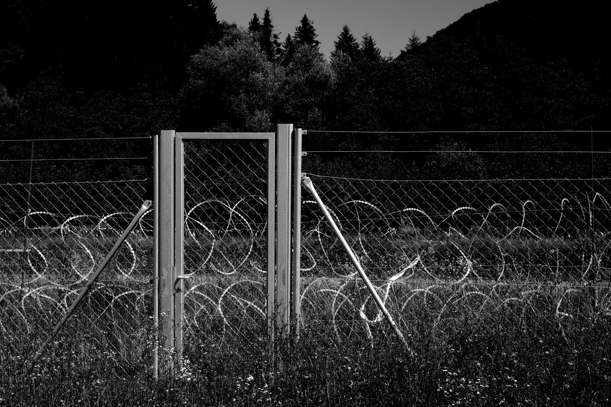 Sony Cyber-shot DSC-RX10 + Sony 24-200mm F2.8 sample photo. Forbidden dreams photography