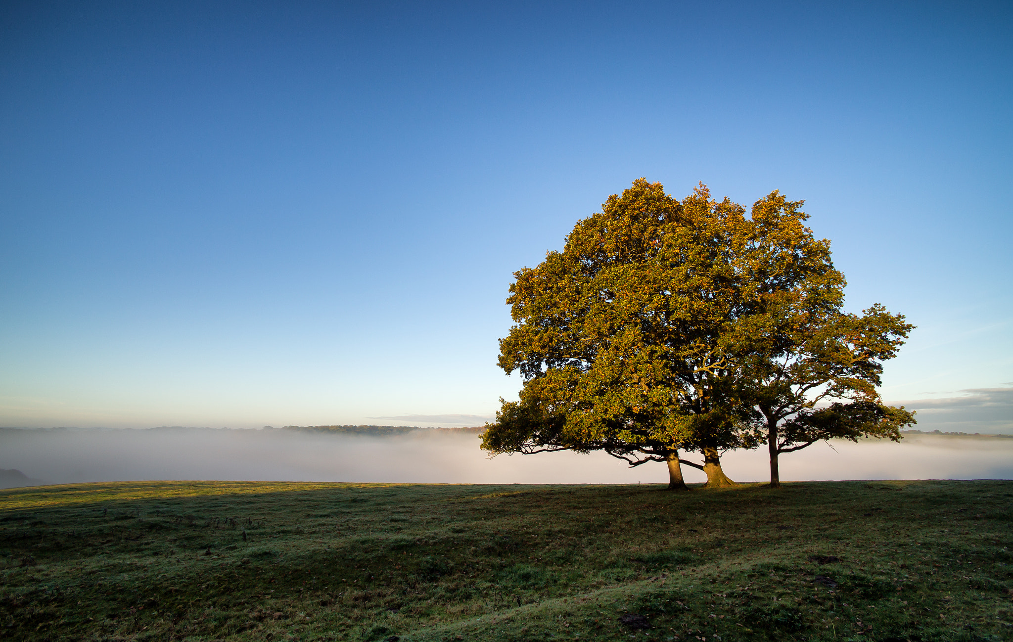 Canon EOS 6D + Tokina AT-X Pro 12-24mm F4 (IF) DX sample photo. Above the mist photography