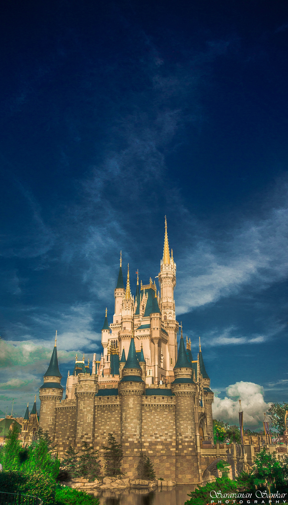 Sony SLT-A65 (SLT-A65V) sample photo. Cindrella castle photography