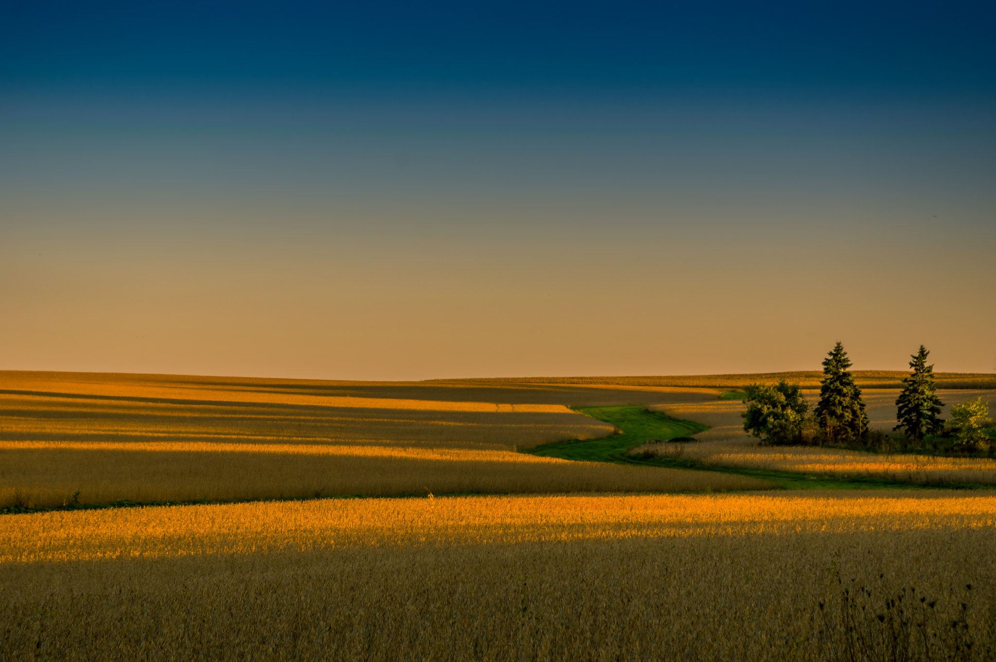 Pentax K-3 sample photo. A midwestern fall photography