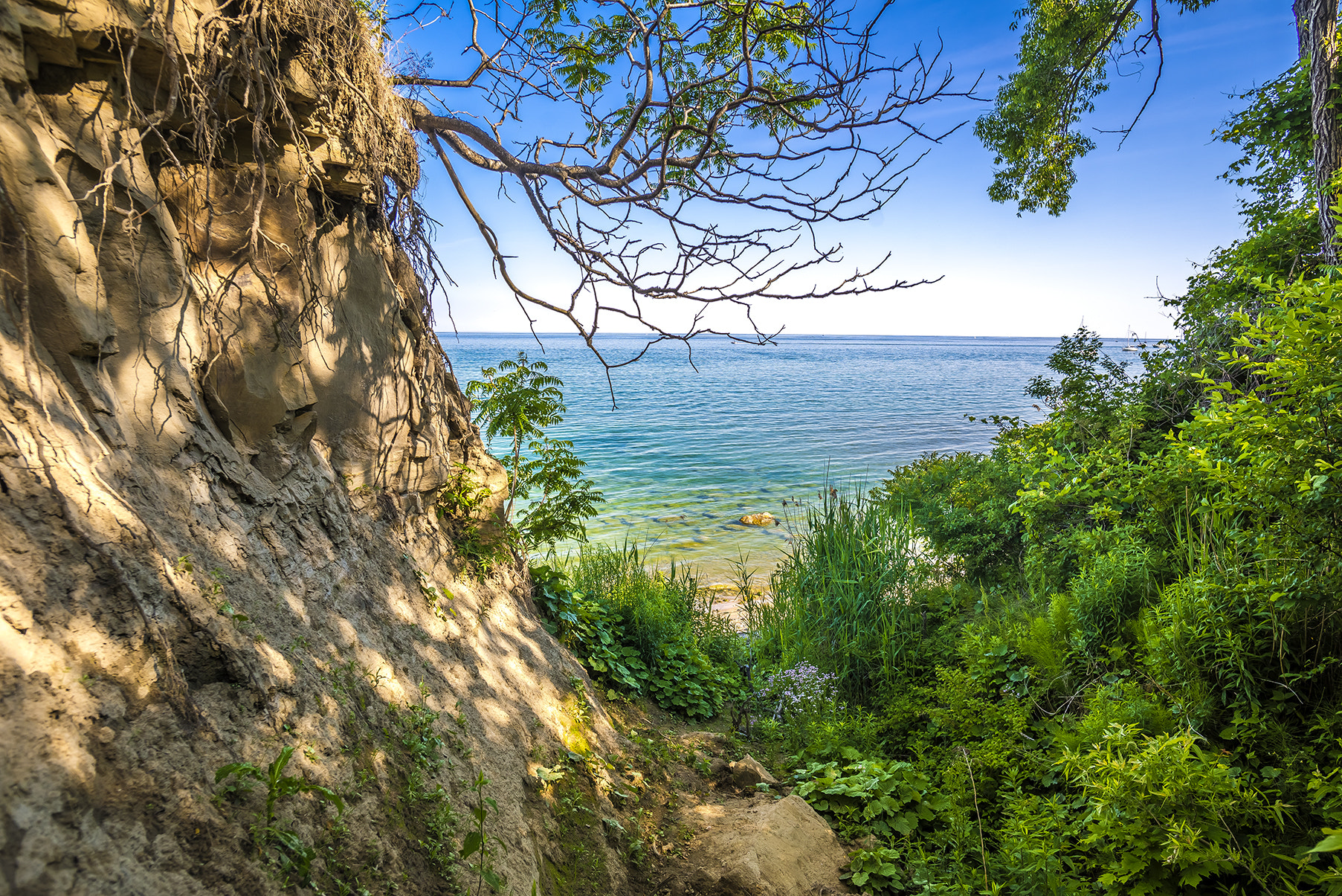 Nikon D600 + Nikon AF-S Nikkor 20mm F1.8G ED sample photo. Northern tropics photography