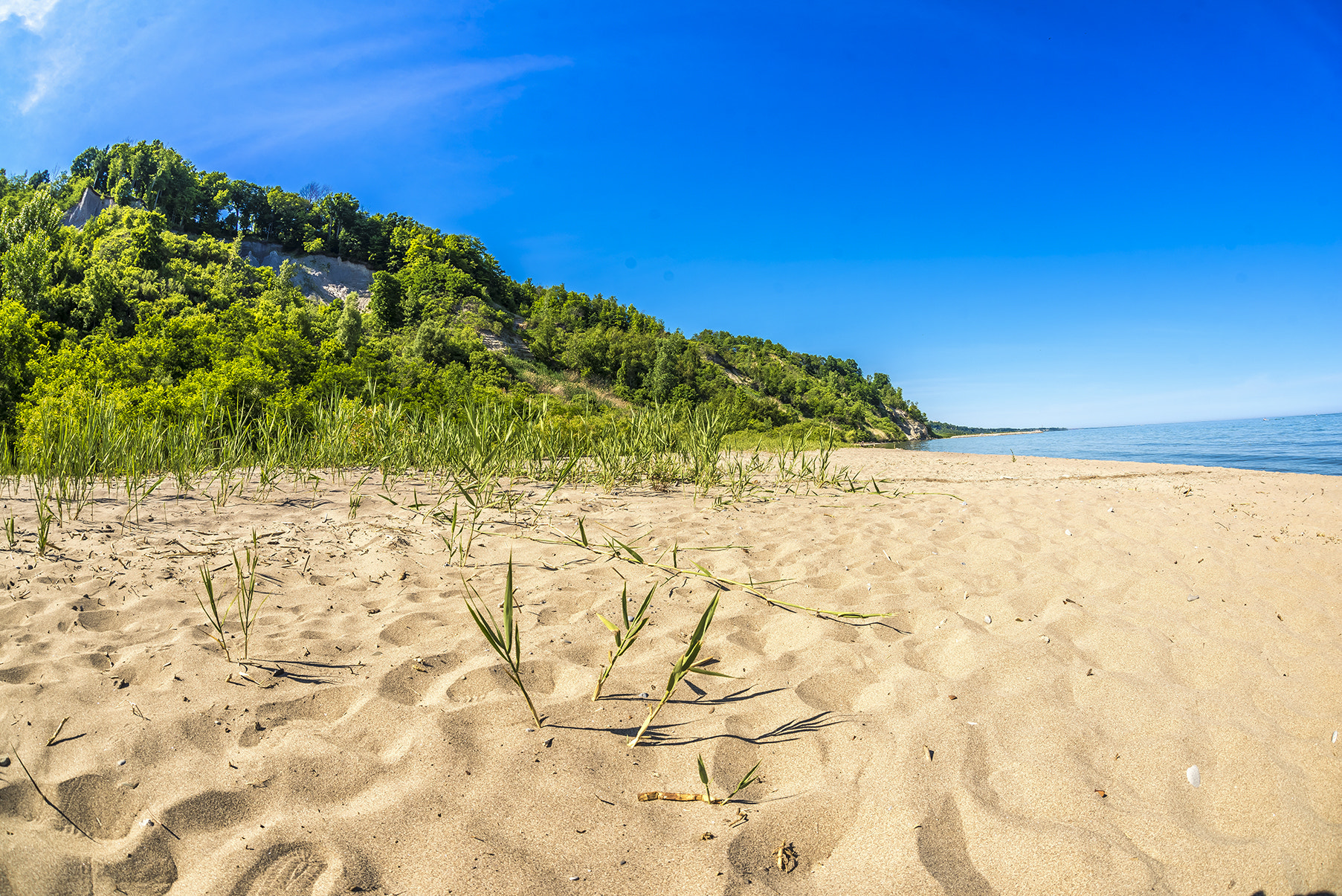 Sigma 15mm F2.8 EX DG Diagonal Fisheye sample photo. Beach sunshine photography