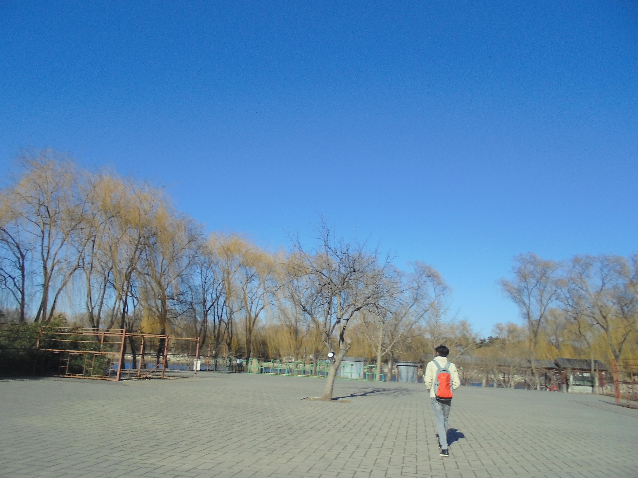 Sony DSC-W670 sample photo. ●▽● photography