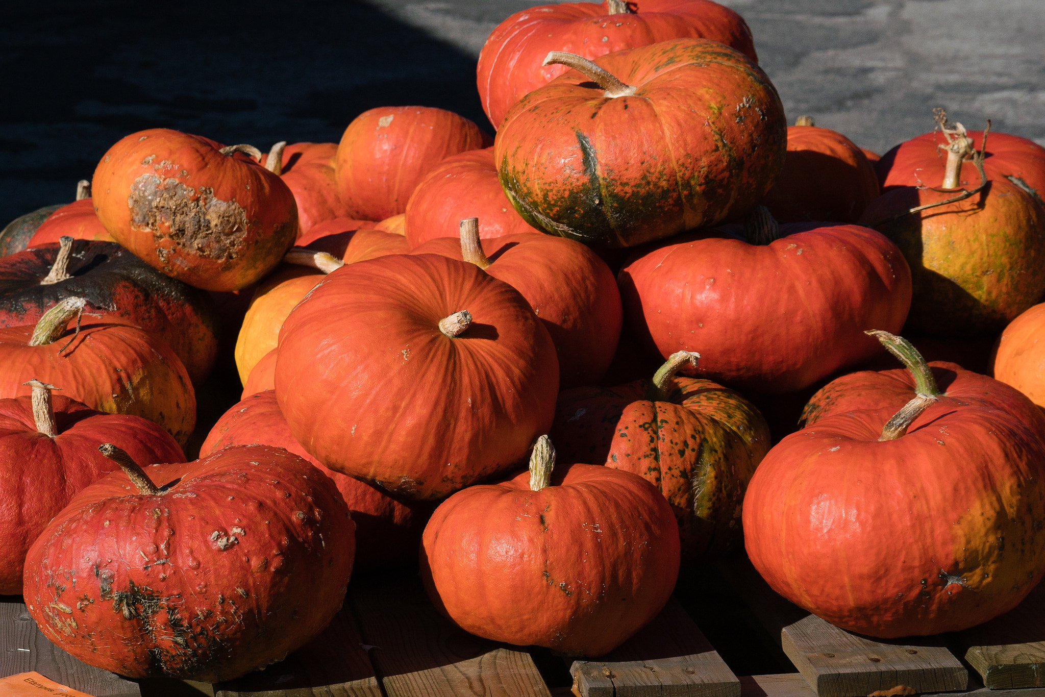 Sony FE 70-300mm F4.5-5.6 G OSS sample photo. A pile of orange pumpkins photography