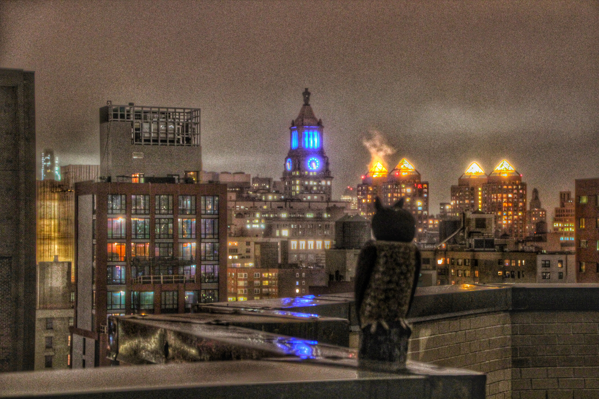 Canon 18-270mm sample photo. "roof top owl" photography