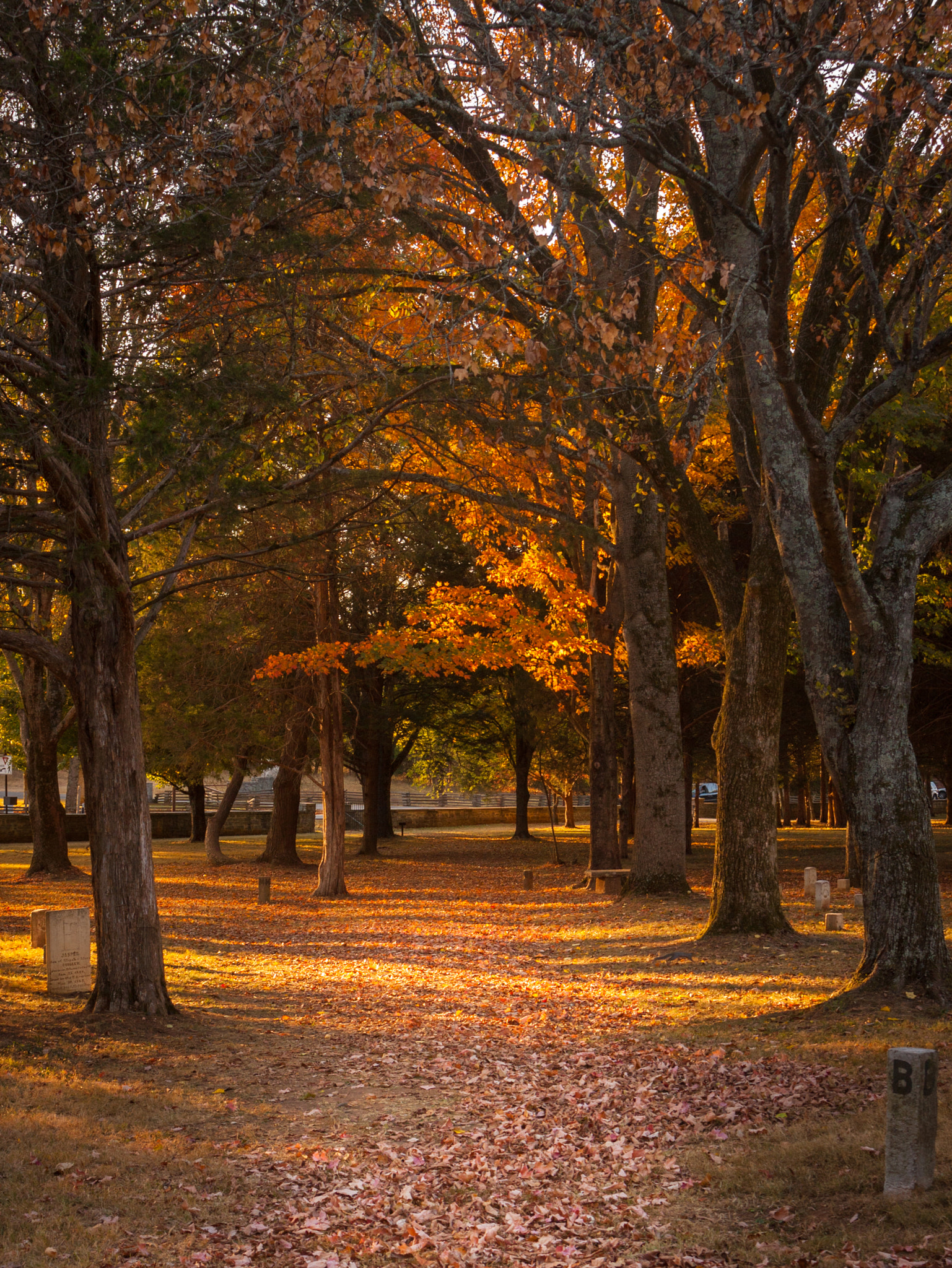 Canon EOS 40D sample photo. Fall trail through national battlefield photography