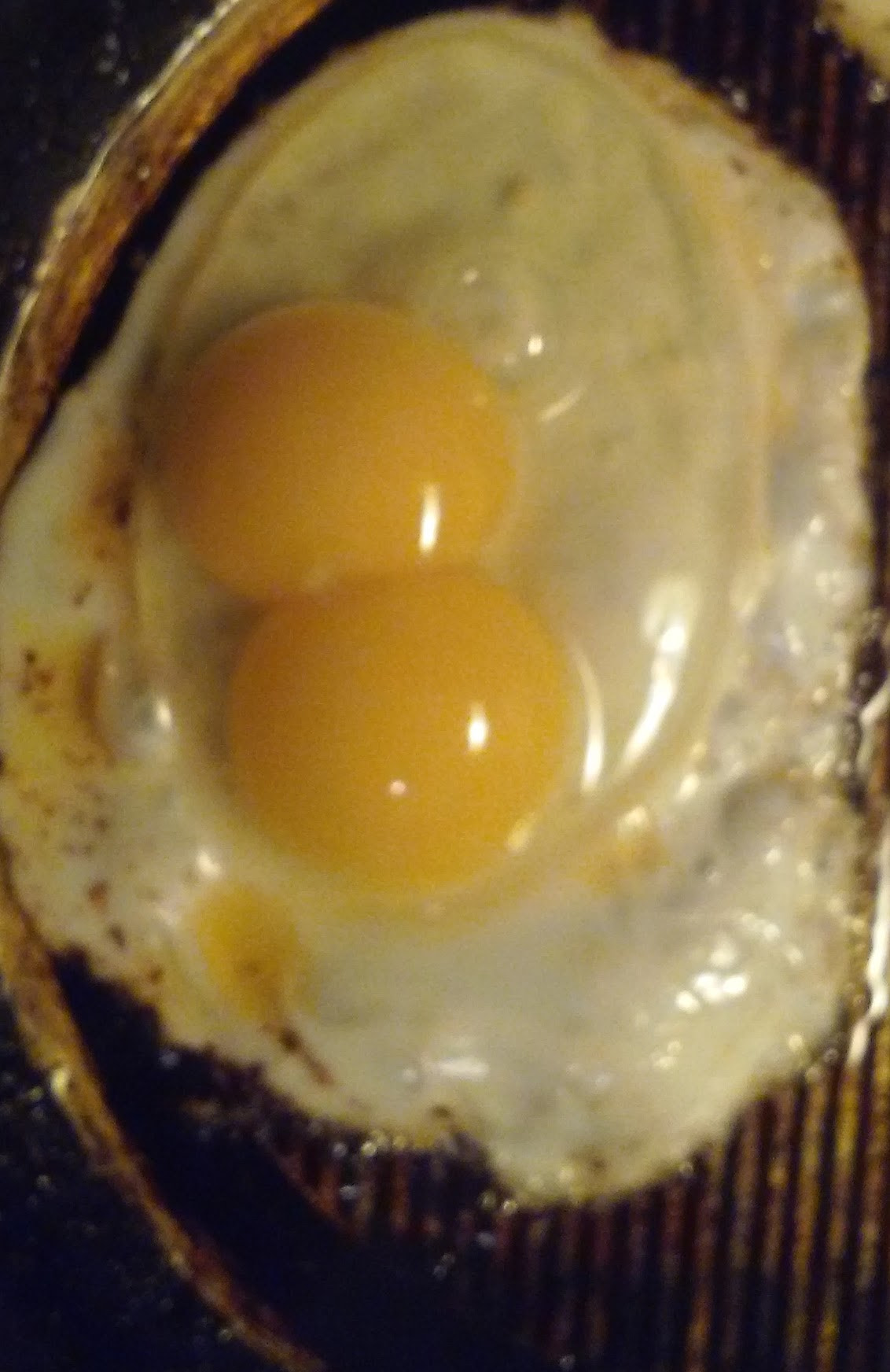 LG F60 sample photo. A double yoked egg photography