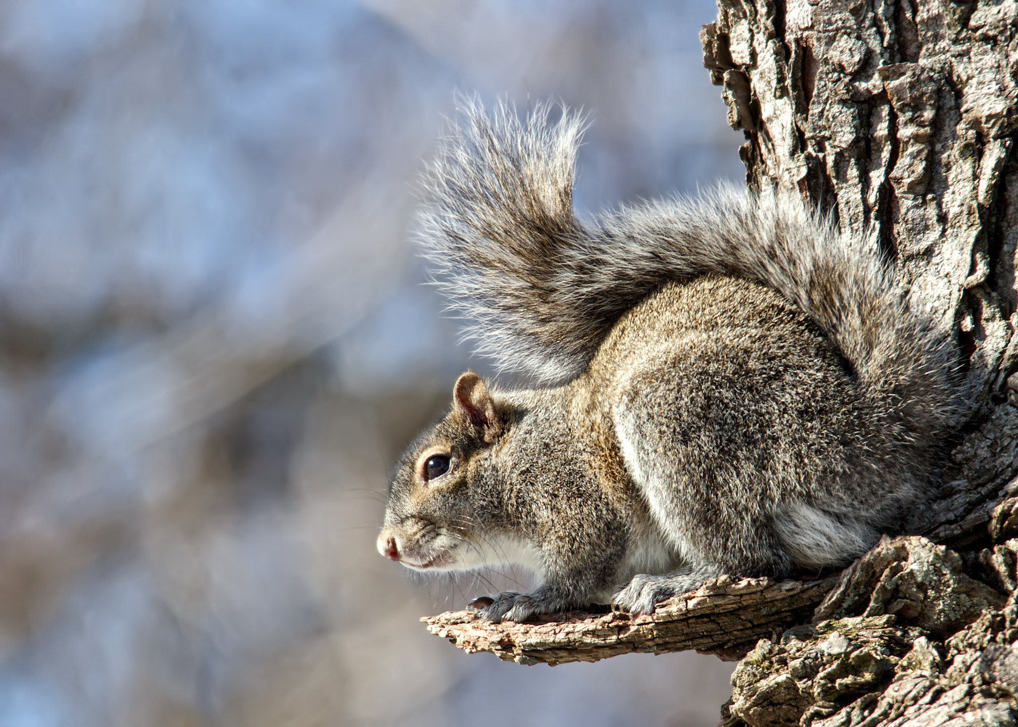 Sigma 150-500mm F5-6.3 DG OS HSM sample photo. On the edge photography
