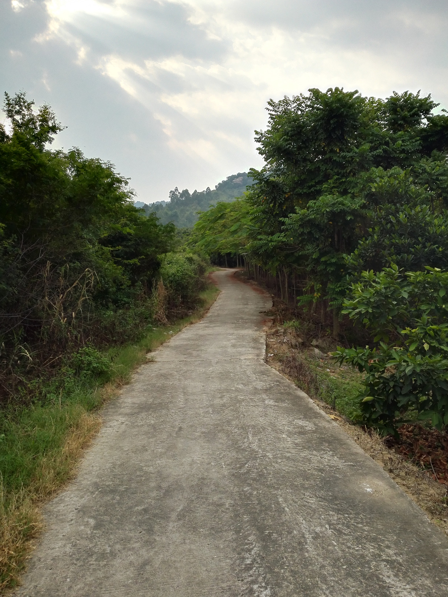 HUAWEI PE-TL20 sample photo. Up photography