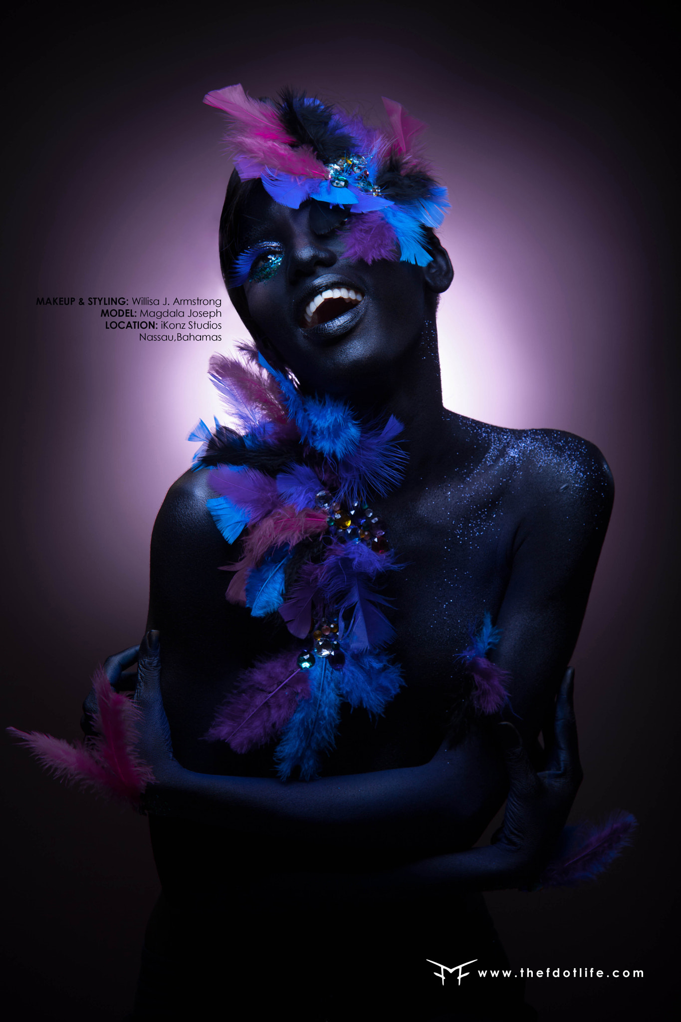Sigma 70-200mm F2.8 EX DG OS HSM sample photo. Blackbird w/magdala photography