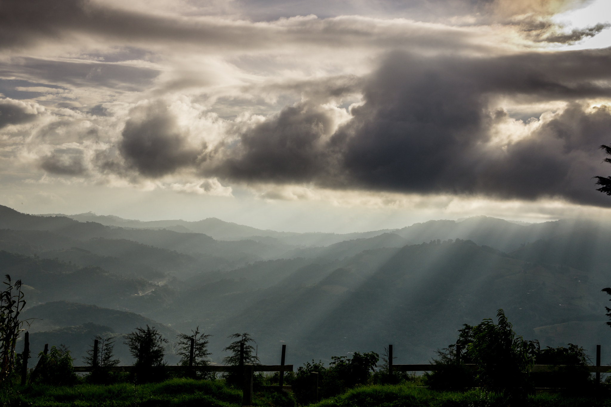 Sony DT 18-250mm F3.5-6.3 sample photo. Un rayito de luz necesito.... photography
