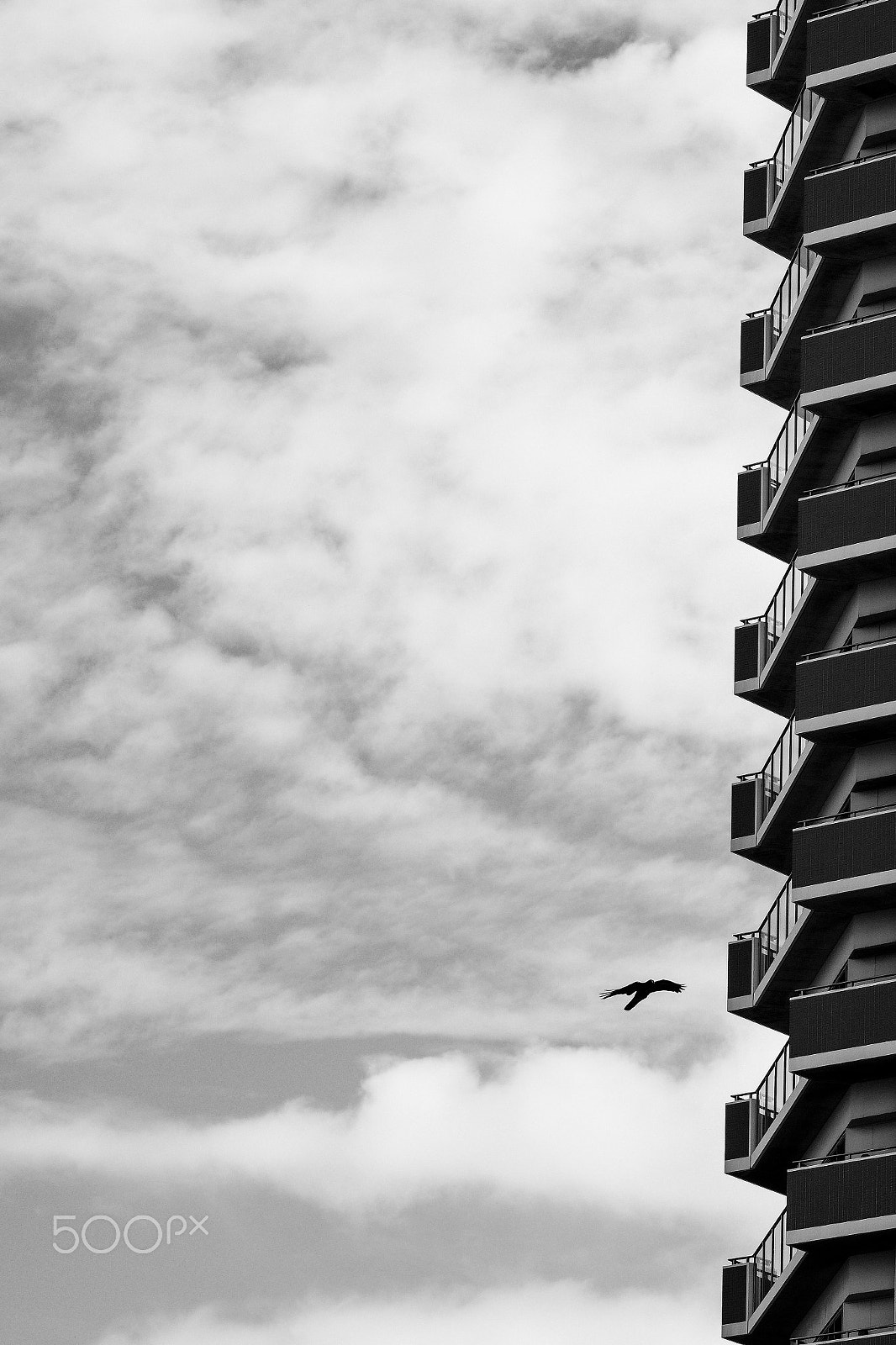 Fujifilm X-Pro2 + Fujifilm XF 55-200mm F3.5-4.8 R LM OIS sample photo. Flying photography