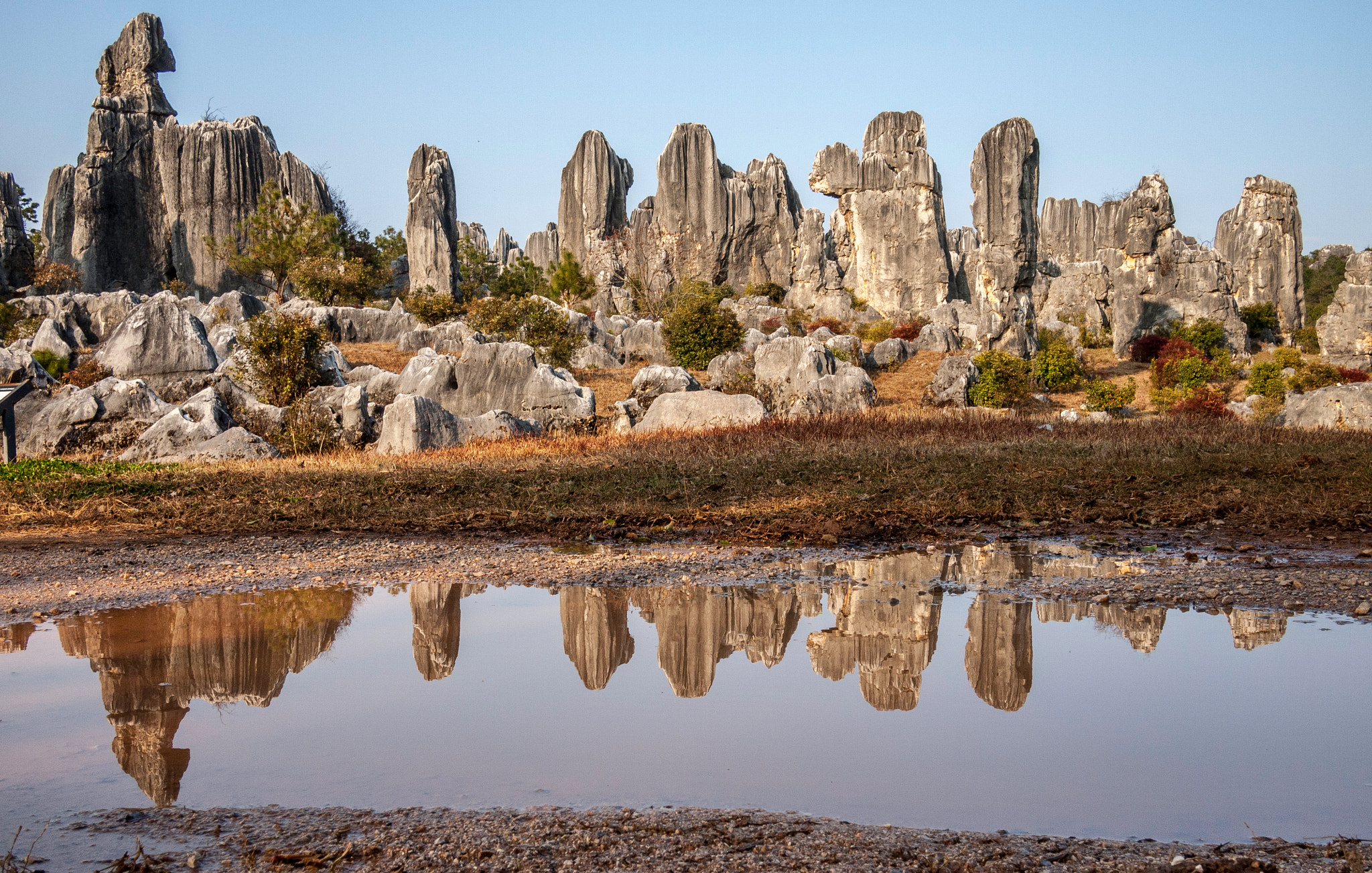 Olympus PEN E-P2 sample photo. Stone forest, kunming, yunnan, china photography