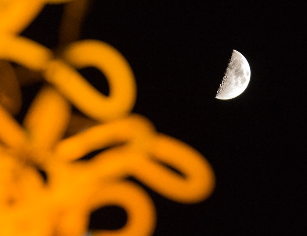 Canon EOS 60D + Tamron SP 70-300mm F4-5.6 Di VC USD sample photo. Yellow chihuly moon photography