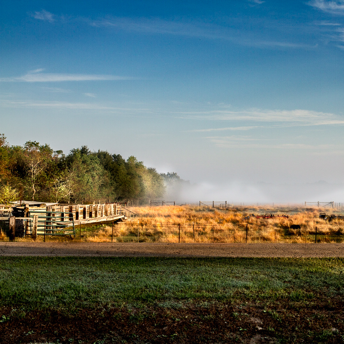 Canon EOS 7D + Canon EF 35mm F2 sample photo. Cajun fog photography