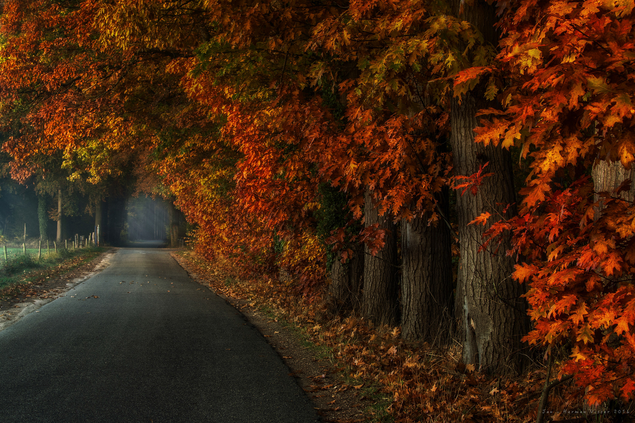 Canon EF 50-200mm f/3.5-4.5 sample photo. Enjoy autumn 2016.. photography