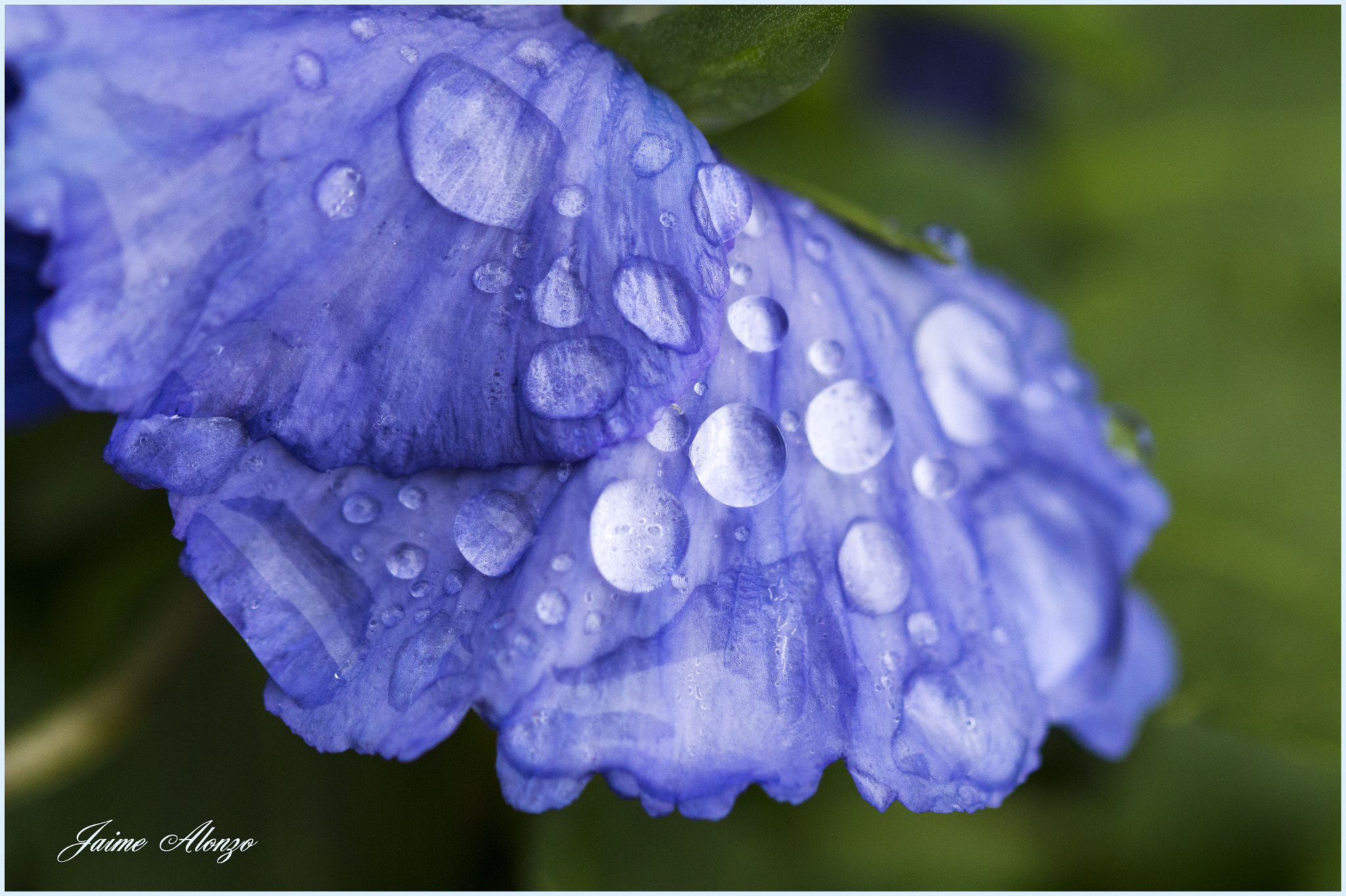 Sigma 105mm F2.8 EX DG OS HSM sample photo. Water world ii photography