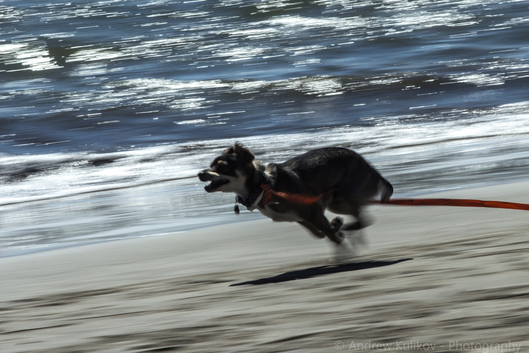 Canon EF 200mm F2.8L II USM sample photo. Need for speed photography