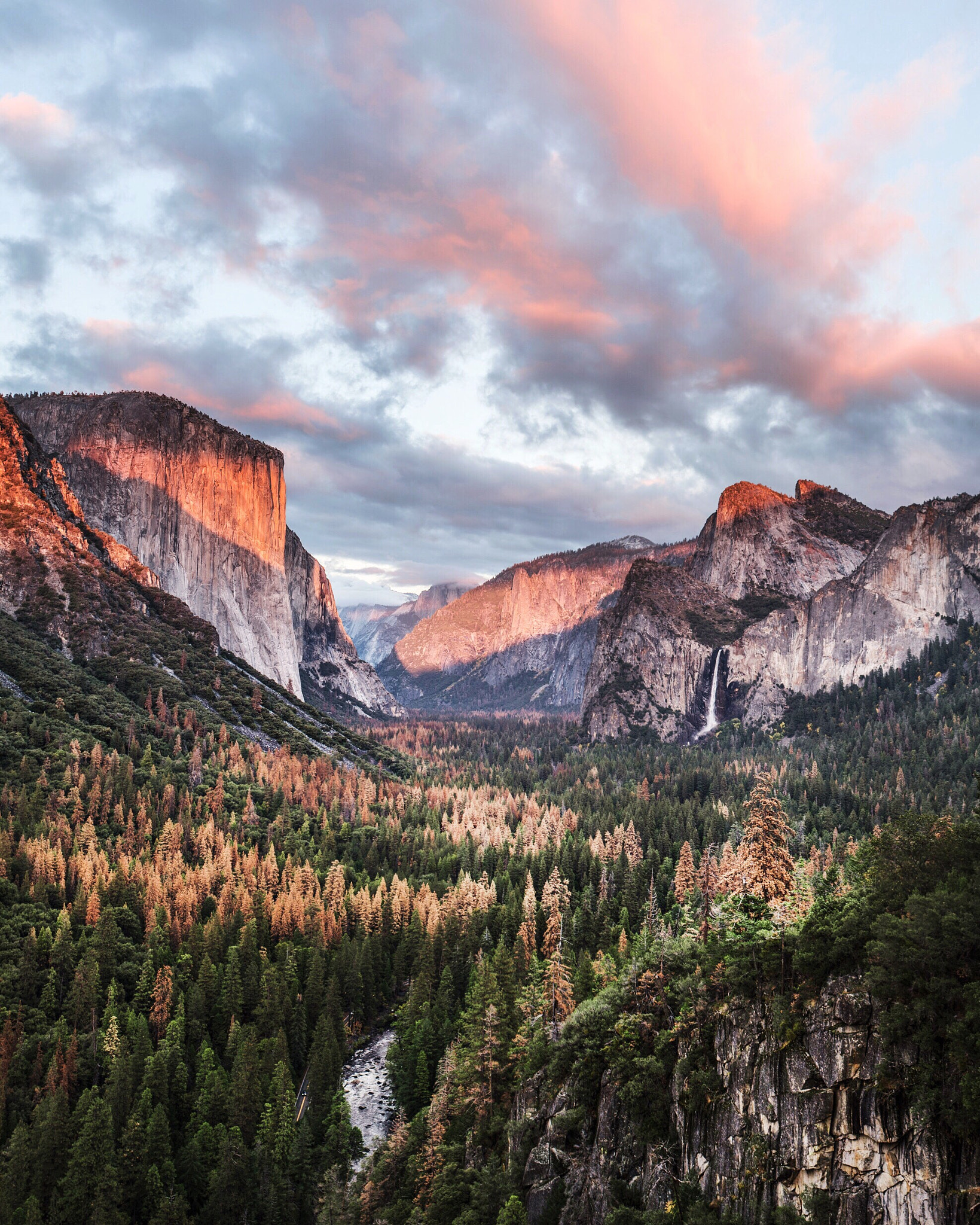 Nikon D4 + Sigma 35mm F1.4 DG HSM Art sample photo. Sunset & autumn tunnel view. yosemite. california. photography