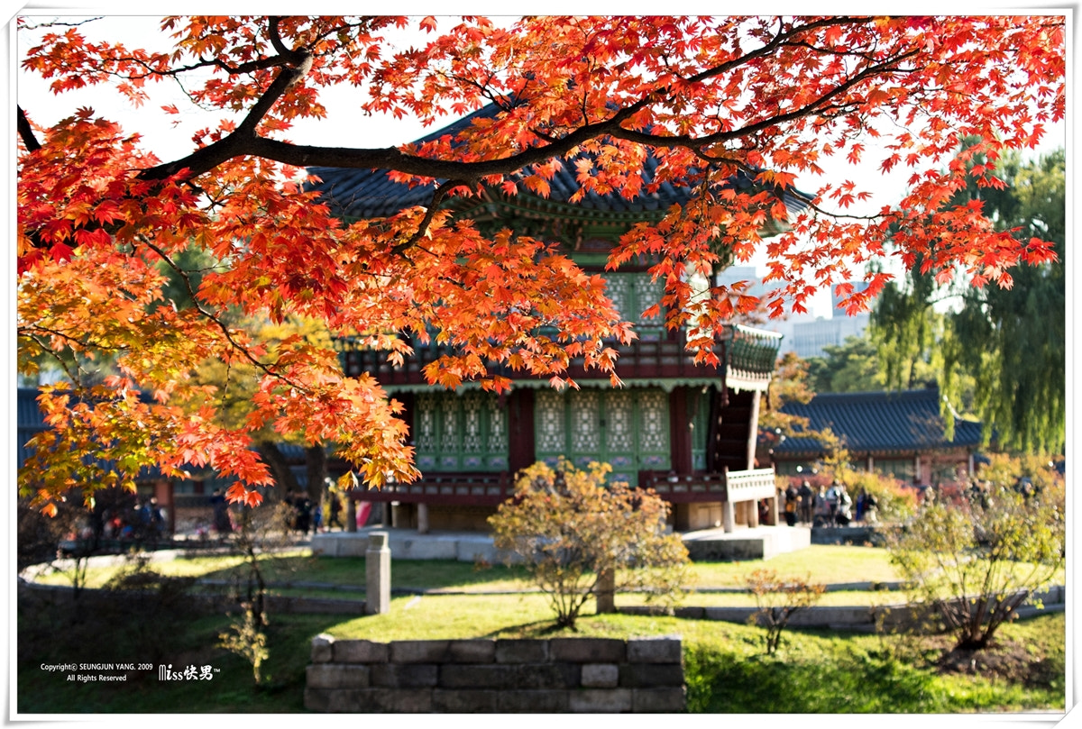 Pentax K-S2 sample photo. Gyeongbokgung hyangwonjeong of autumn photography