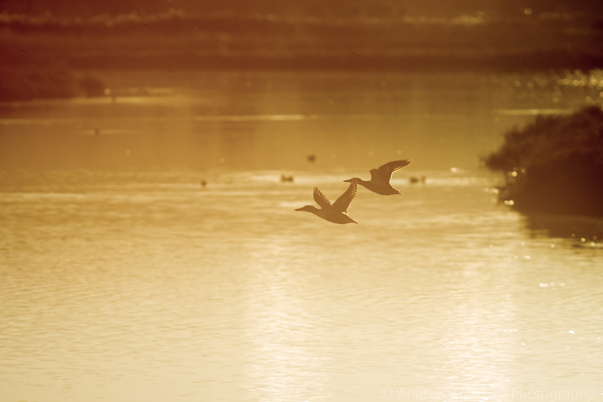 Canon EF 200mm F2.8L II USM sample photo. Sunset photography